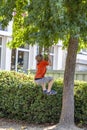 Little boy climbing tree in the city Royalty Free Stock Photo