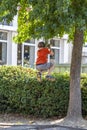 Little boy climbing tree in the city Royalty Free Stock Photo