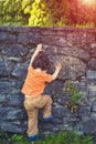 The little boy climbs the fence. Royalty Free Stock Photo