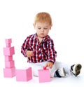 Little boy collects pink pyramid. Royalty Free Stock Photo