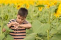 Little boy consider insects walking on the sunflowers field in s