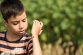 Little boy consider ladybug walking on the sunflowers field in s