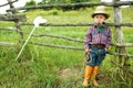 A little boy cowboy on nature Royalty Free Stock Photo