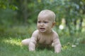 A little boy crawls on the grass and cries in a green garden