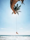 Little boy dangles on tropical palm tree swing, Sri Lanka beach