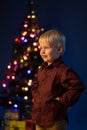 Little boy decorates the Christmas tree. Spruce with decorations. Kid and adornment Royalty Free Stock Photo