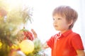 Little boy decorating Christmas tree with toy balls Royalty Free Stock Photo
