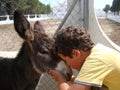 A little boy and a donkey Royalty Free Stock Photo