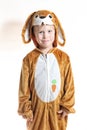 Little boy dressed as rabbit