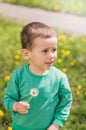 Little boy dressed in a green clothes holding white fluffy dandelion Royalty Free Stock Photo