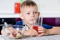 Little boy drinking fruit juice in a kitchen Royalty Free Stock Photo