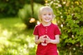 Little boy drinking glass of water in hot sunny summer day on the backyard or home garden Royalty Free Stock Photo