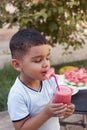 Little Boy Drinking Healthy Watermelon Juice In Summer Royalty Free Stock Photo