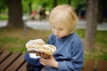 Little boy eating hot dog in public park. Child enjoying his to go meal outside. Fast food is a junk food. Overweight kids Royalty Free Stock Photo