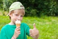 Little boy eating ice cream in the park outdoors Royalty Free Stock Photo