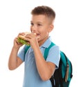 Little boy eating sandwich on white background. Healthy food for school Royalty Free Stock Photo