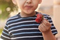 A little boy eating strawberries. Summer food. Royalty Free Stock Photo