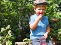 Village boy eating fresh raspberries Royalty Free Stock Photo