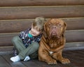 Little boy embracing big Bordeaux dog Royalty Free Stock Photo