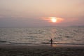 A little boy is enjoying the last sun beams on the beach