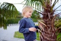 Little boy exploring palm tree. Child first time sees palm tree. Activity for inquisitive child