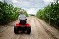 A little boy farmer is driving a small tractor on a dirt road through a cornfield