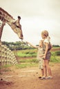 Little boy feeding a giraffe at the zoo Royalty Free Stock Photo