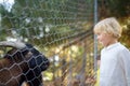 Little boy feeding goat. Child at outdoors petting zoo. Kid having fun in farm with animals. Children and animals. Fun for kids on Royalty Free Stock Photo