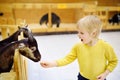 Little boy feeding goat at indoor petting zoo Royalty Free Stock Photo