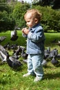 The little boy feeding the pigeons in a city Park Royalty Free Stock Photo