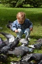 The little boy feeding the pigeons in a city Park Royalty Free Stock Photo