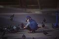 Little boy feeding pigeons on the ground outdoors Royalty Free Stock Photo