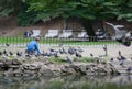 Little boy feeding pigeons Royalty Free Stock Photo