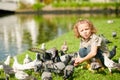 Little boy feeding pigeons in the park Royalty Free Stock Photo