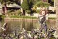 Little boy feeding pigeons in the park Royalty Free Stock Photo