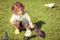 Little boy feeding pigeons in the park Royalty Free Stock Photo