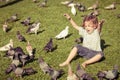 Little boy feeding pigeons in the park Royalty Free Stock Photo