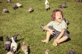 Little boy feeding pigeons in the park Royalty Free Stock Photo