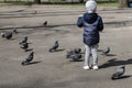 Little boy feeds pigeons on the street. Royalty Free Stock Photo