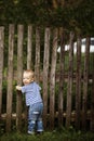 Little boy with fence outdoors Royalty Free Stock Photo