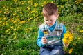 Little boy on the field with dandelions in hands Royalty Free Stock Photo