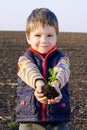 Little boy on field holding the plant Royalty Free Stock Photo