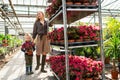 Little boy with a flower in a pot and his mom, a florist who pulls a cart with flowers in a greenhouse.