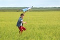 Little boy flying kite in the field Royalty Free Stock Photo