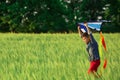 Little boy flying kite in the field Royalty Free Stock Photo