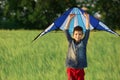 Little boy flying kite in the field Royalty Free Stock Photo