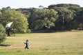 A little boy flying a kite on the field Royalty Free Stock Photo