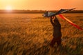 Little boy flying kite in the field at sunset Royalty Free Stock Photo