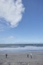 Little boy flying a kite, spending time at the beach with his family, in the background sea with spray and a blue sky with clouds Royalty Free Stock Photo