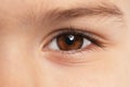 Little boy, focus on eye. Visiting children`s doctor Royalty Free Stock Photo